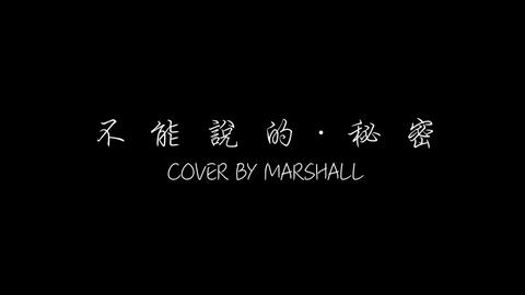 Cover By Jj 不能说的秘密歌詞版mv