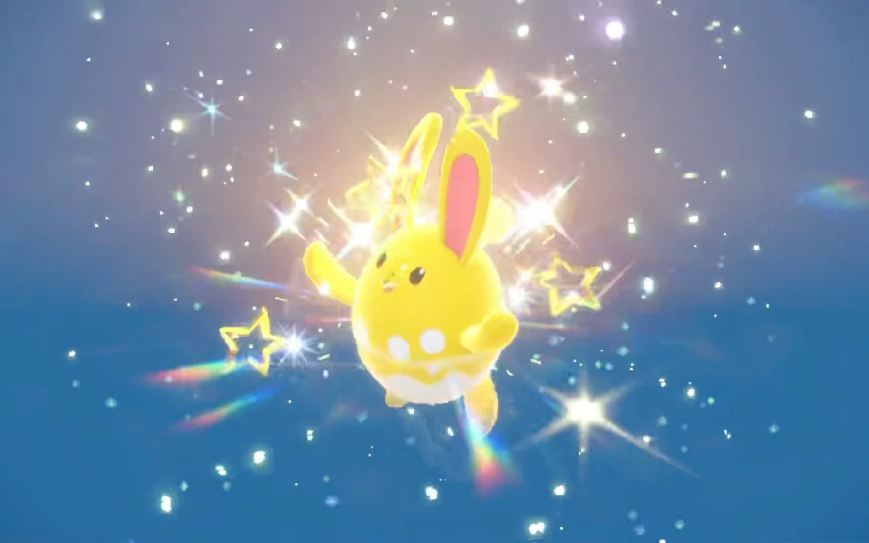 野生黄皮水耗子出现了!闪光玛力露丽!