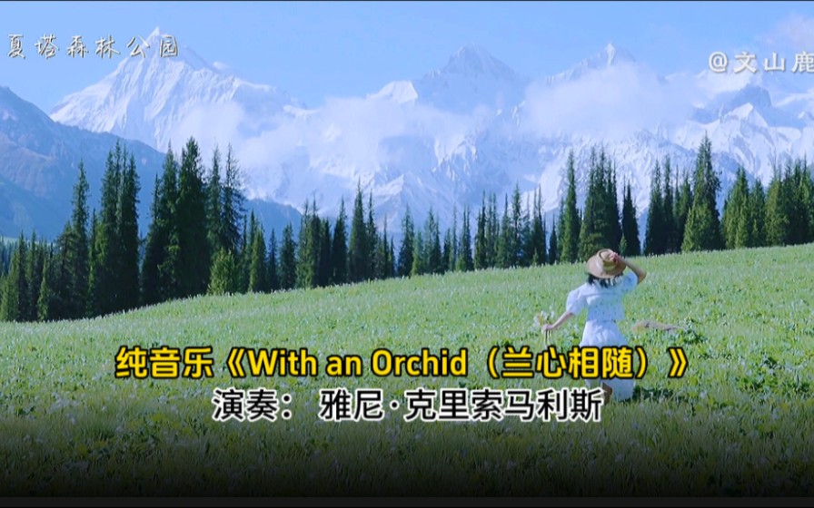 [图]世界名曲《With an Orchid（兰心相随）》，净化心灵，令人陶醉