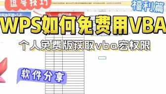 如何在WPS中免费使用VBA?