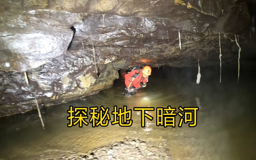 [图]探秘远古河道，进入地球内部，发现透明生物