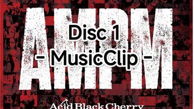 ミュージック Acid Black Cherry/2010 Live\\"Re:birth\\" DISCOGRAPHY [2010 Live “Re:birth” ～Live at YOKOHAMA ARENA