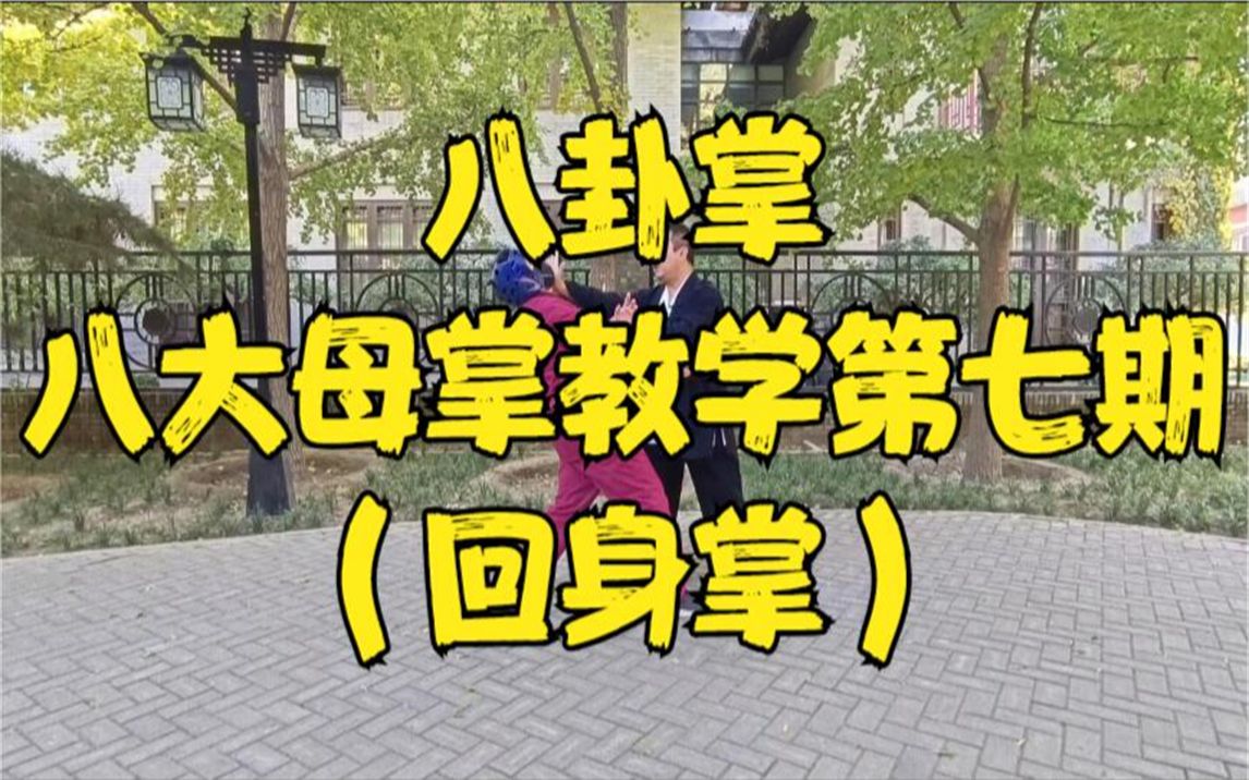 【八卦掌】八大母掌教学第七期——回身掌!哔哩哔哩bilibili