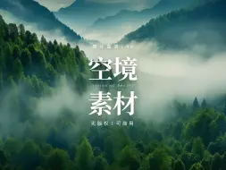 Download Video: 【免版权空镜】航拍森林湖泊自然视频素材