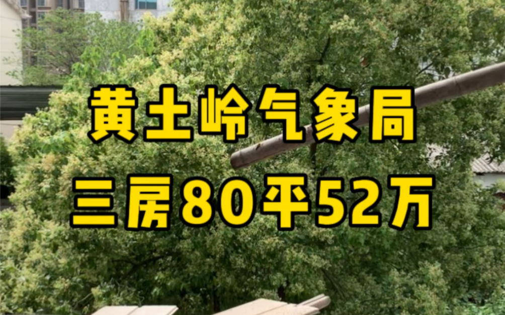 #长沙安家 黄土岭&涂家冲正地铁口,气象局宿舍!三房80平!52个!四楼!#长沙房产#长沙买房#长沙二手房#长沙性价比高的房子哔哩哔哩bilibili