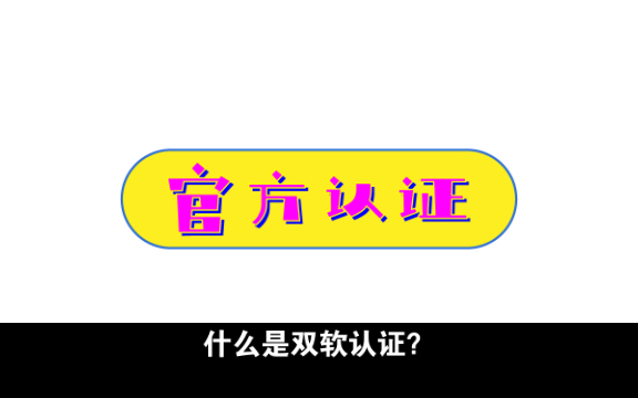 为什么做双软企业哔哩哔哩bilibili