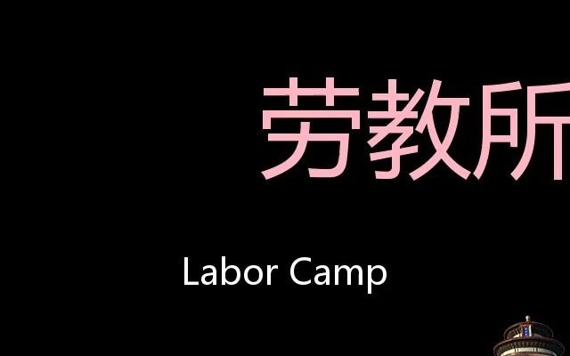 劳教所 Chinese Pronunciation Labor camp哔哩哔哩bilibili