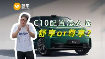 Download Video: 零跑C10选错亏几W？配置怎么选？