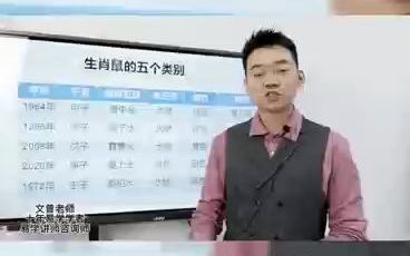 生肖鼠的五个类别哔哩哔哩bilibili