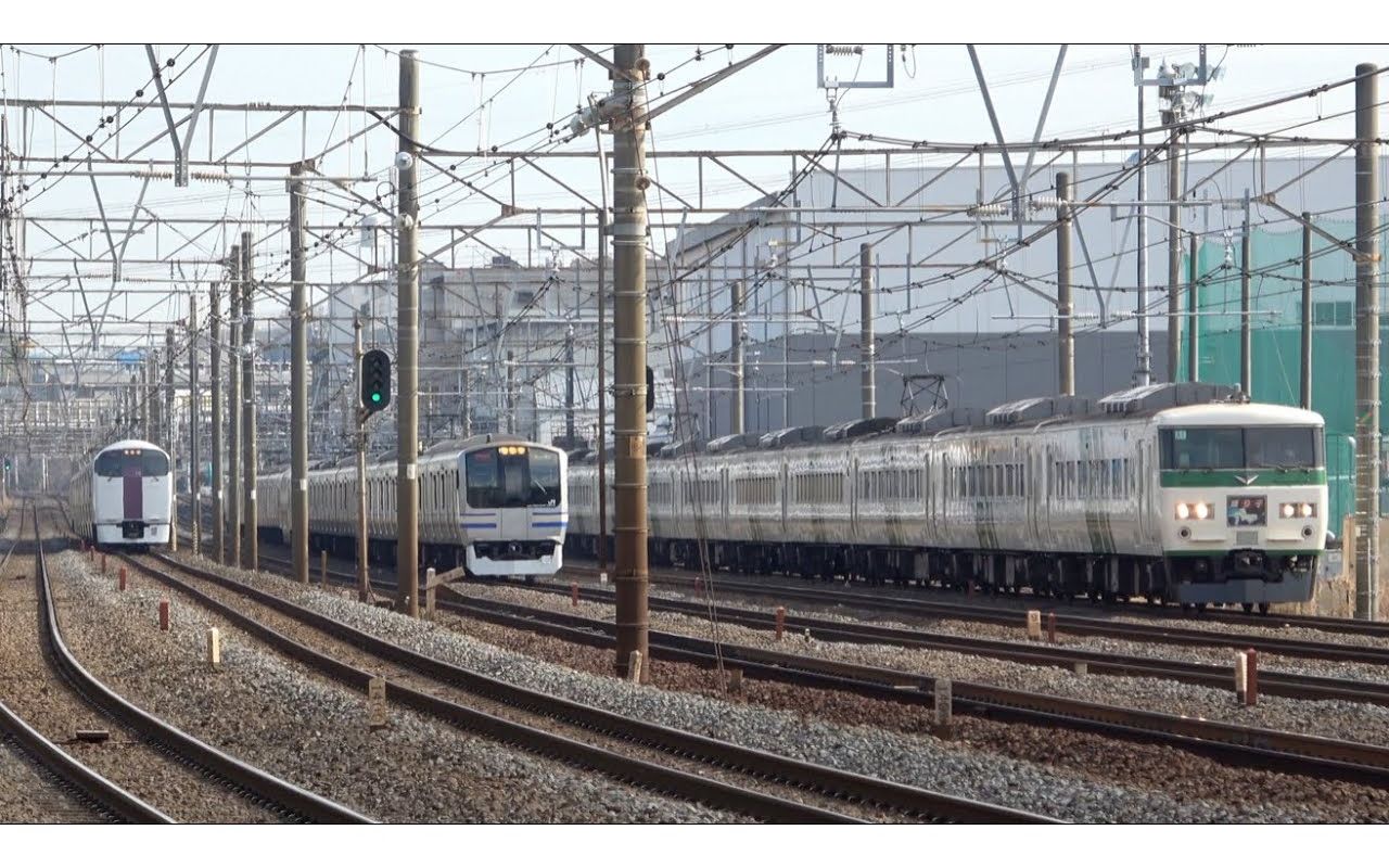 【消えゆく3形式の並び】185系99e217系99215系 3列車並走