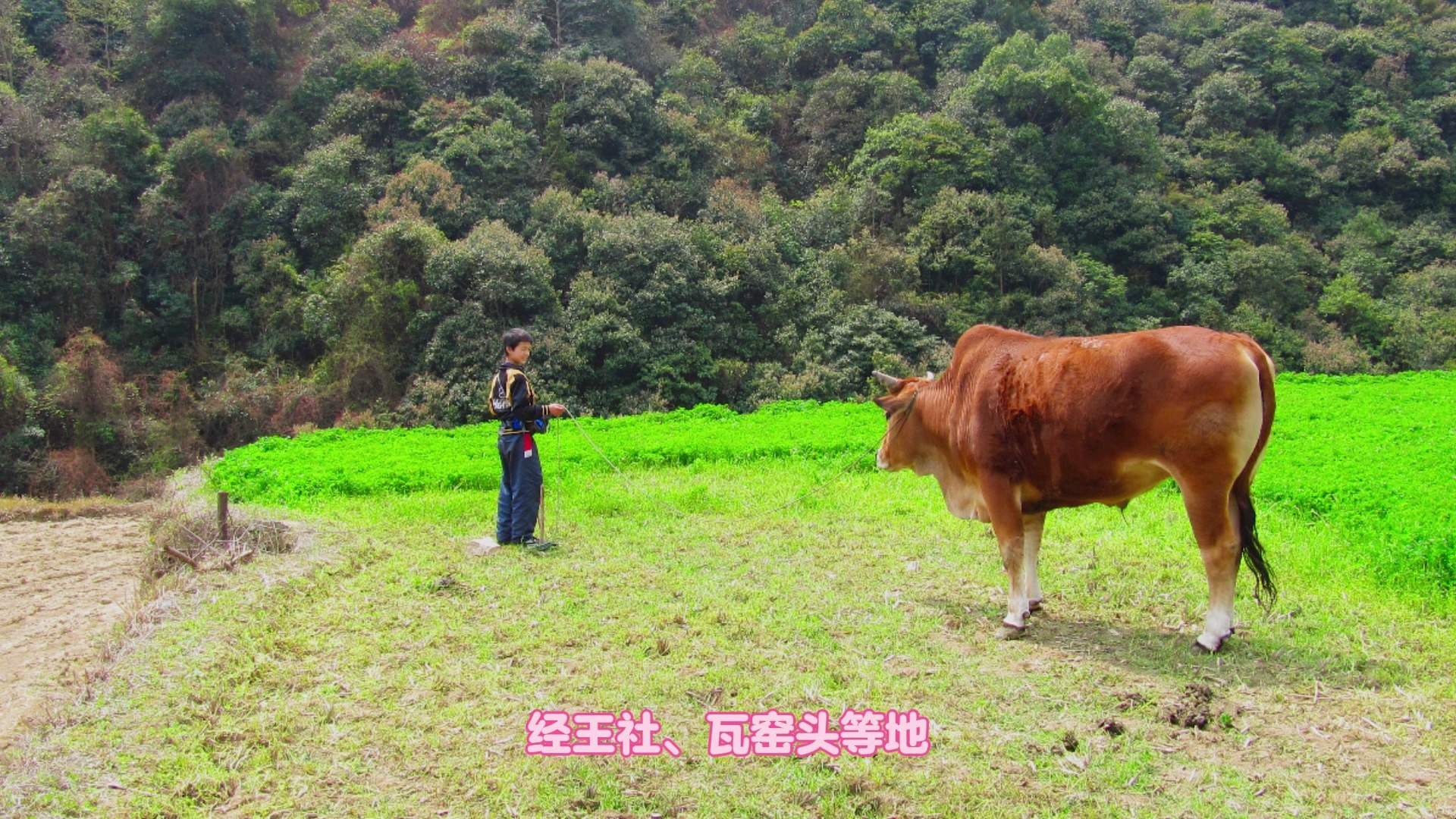 宁海经典登山步道:杜鹃山至许家山