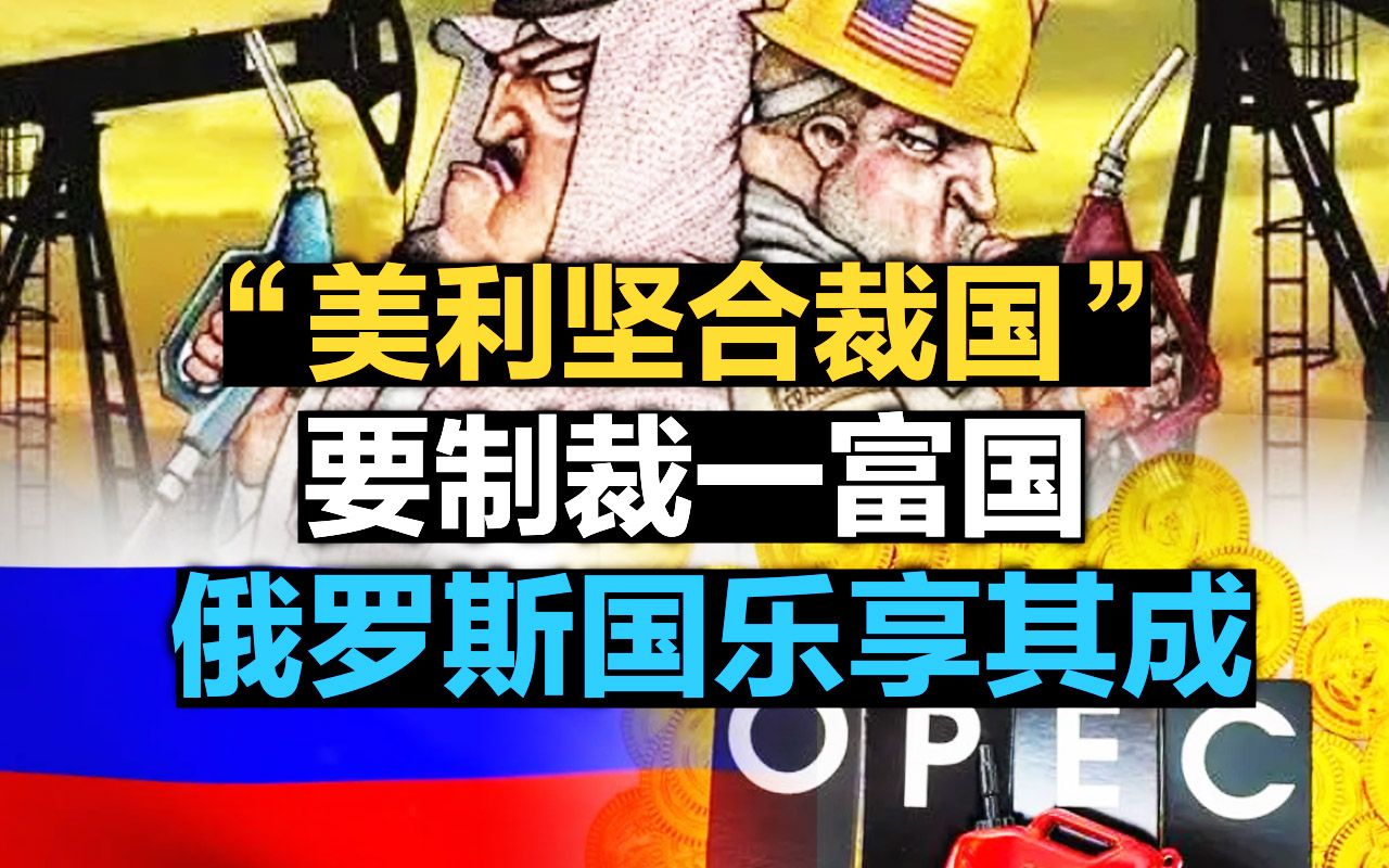 司马南:“美利坚合裁国”要制裁一富国,俄罗斯乐享其成哔哩哔哩bilibili