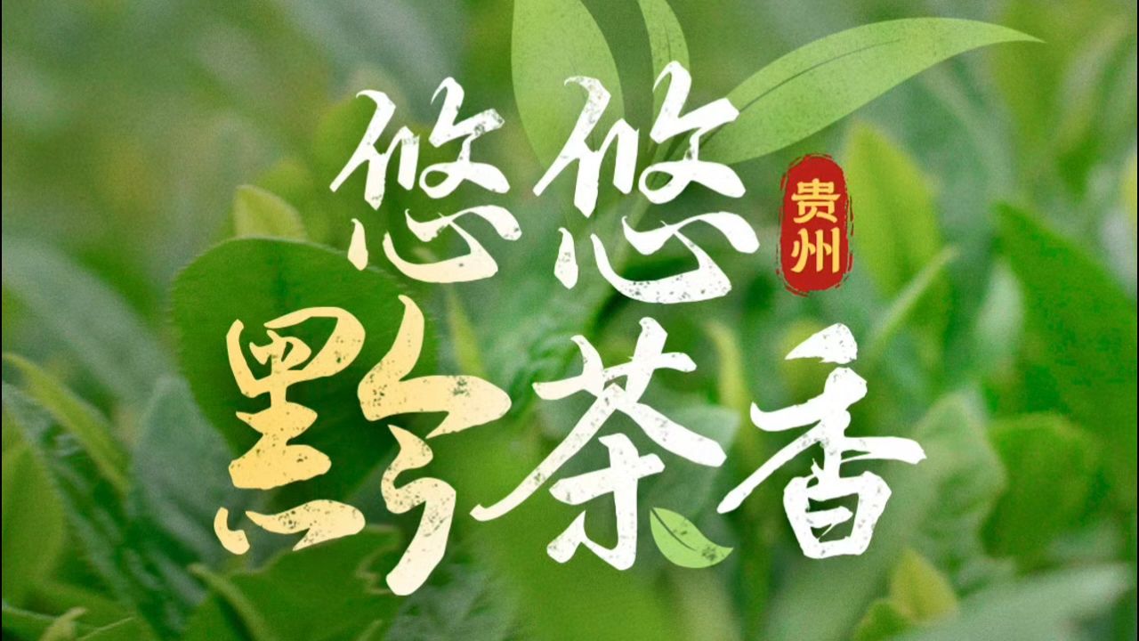 贵州铜仁,梵净山脚下,浦发银行以金融之力陪伴贵茶集团不断发展哔哩哔哩bilibili