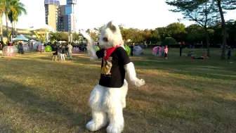 Скачать видео: {Furry}Fursuit Dance 與你同行 B With U 狼小雨 ケモノ着ぐるみで