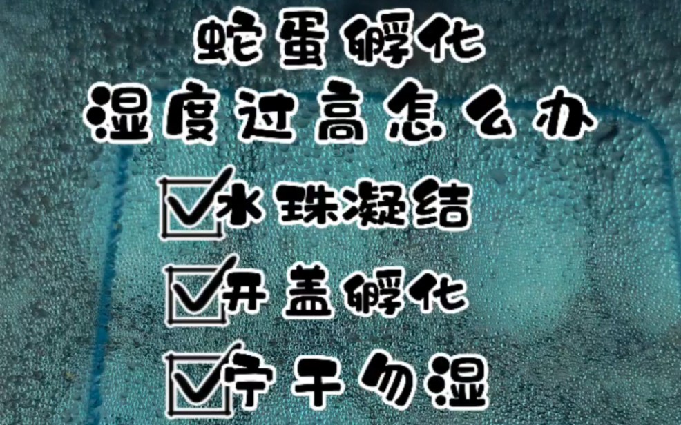 蛇蛋孵化过程中如何判断湿度是否过高,湿度过高要如何处理