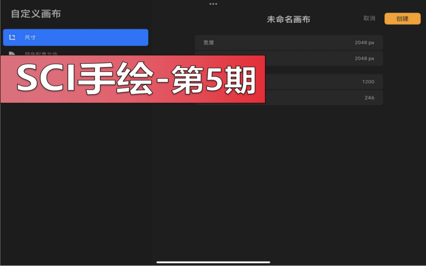 Procreate画图清晰度100,300,900 DPI该怎么调?哔哩哔哩bilibili