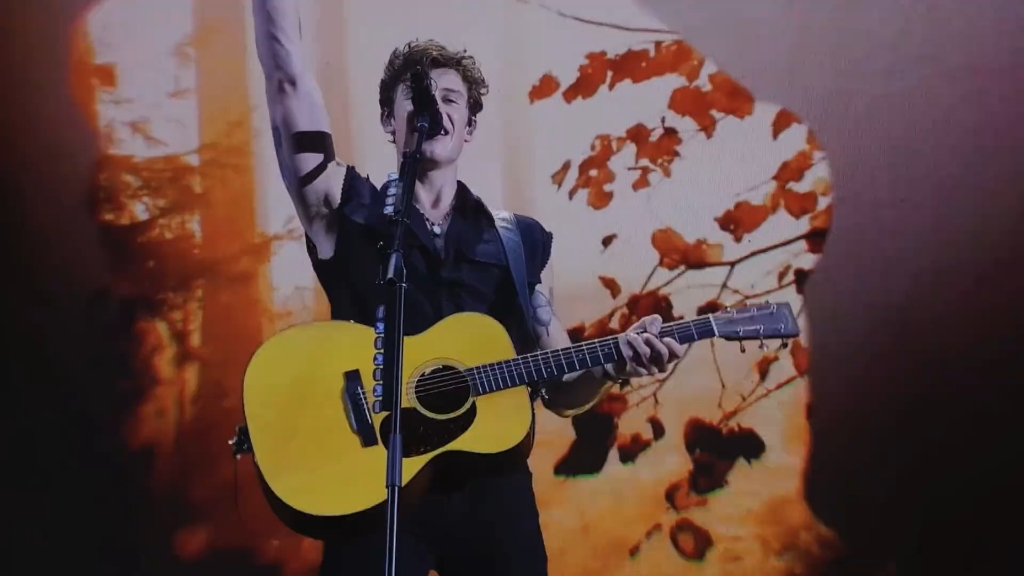 太甜了吧萌德,轻松的旋律,甜蜜的沦陷#欧美音乐#英文歌#shawnmendes