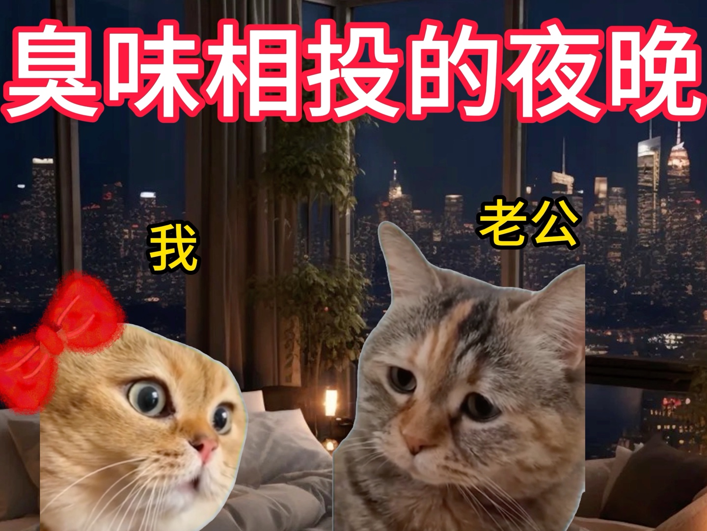 臭味相投都失眠