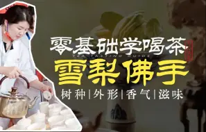 Download Video: 【精品科普岩茶入门】什么是雪梨佛手 | 有实物有对比|树种|香气|滋味|零基础喝懂武夷山岩茶特色名枞雪梨佛手！（干货分享，建议收藏）