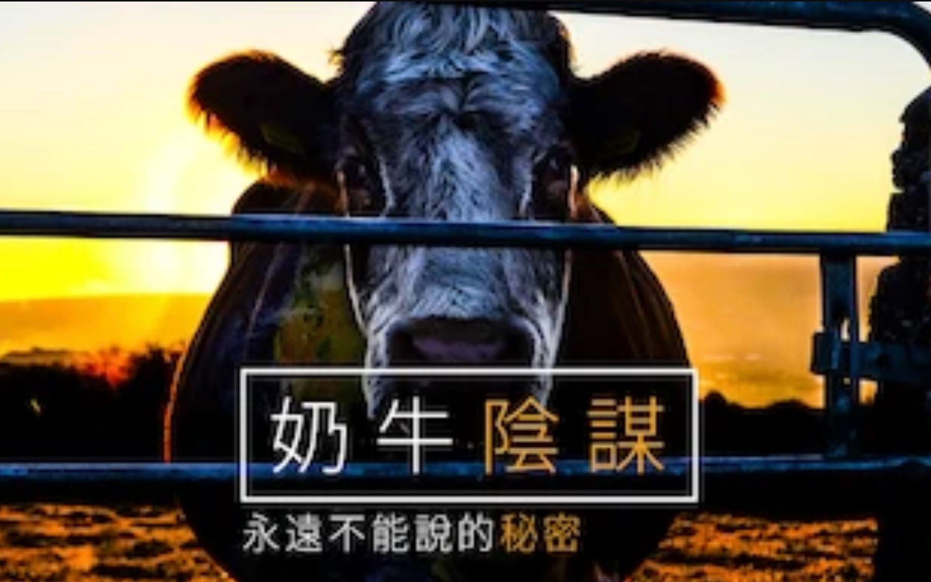 [图]【Netflix】奶牛阴谋：永远不能说的秘密 官方双语字幕 Cowspiracy The Sustainability Secret (2014)