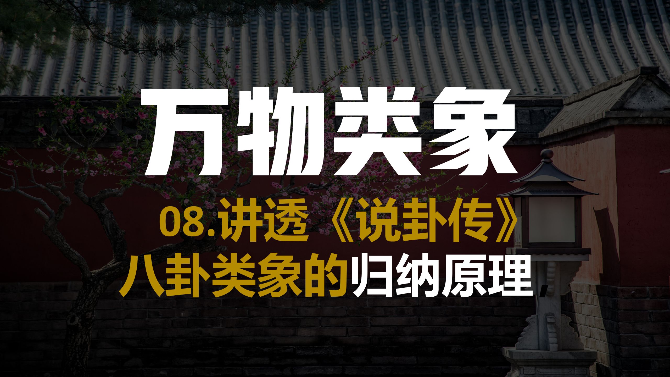 08.万物类象篇(二),讲透《说卦传》八卦类象的归纳原理,哔哩哔哩bilibili