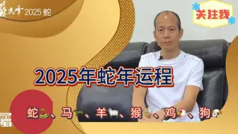 苏民峰2025年蛇年运程之生肖：蛇 马 羊 猴 鸡 狗