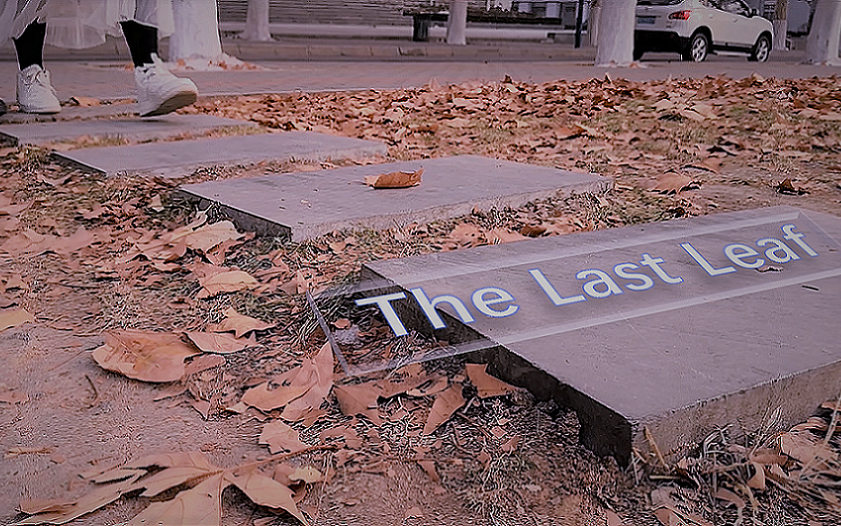 【最后一片叶子|The Last Leaf】英语课文翻拍哔哩哔哩bilibili