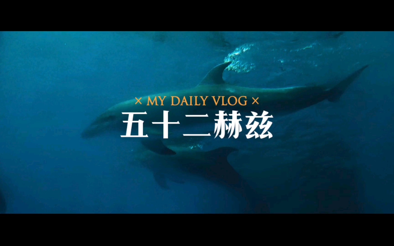 [图]【海洋馆VLOG】《五十二赫兹》|如何与孤独同行？|杉上杉花烂漫