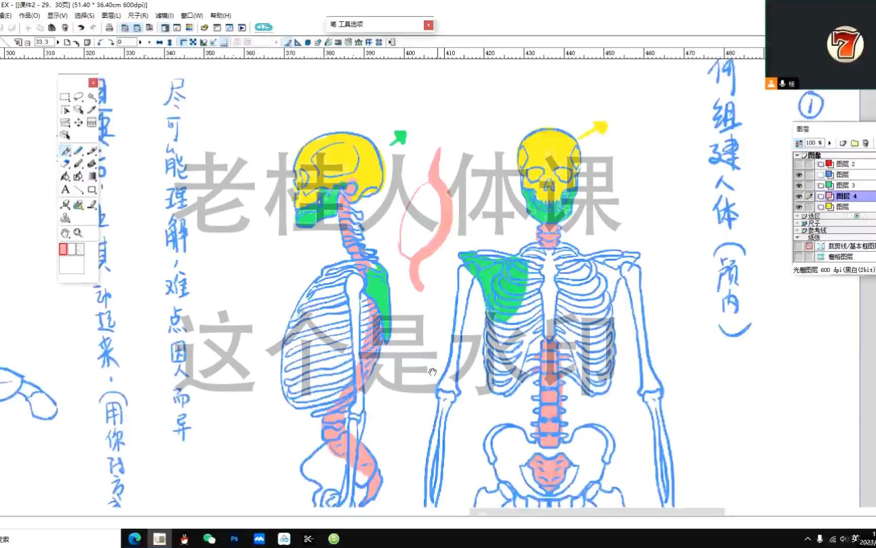 [图]有关骨骼（躯干）的理解，人体很简单