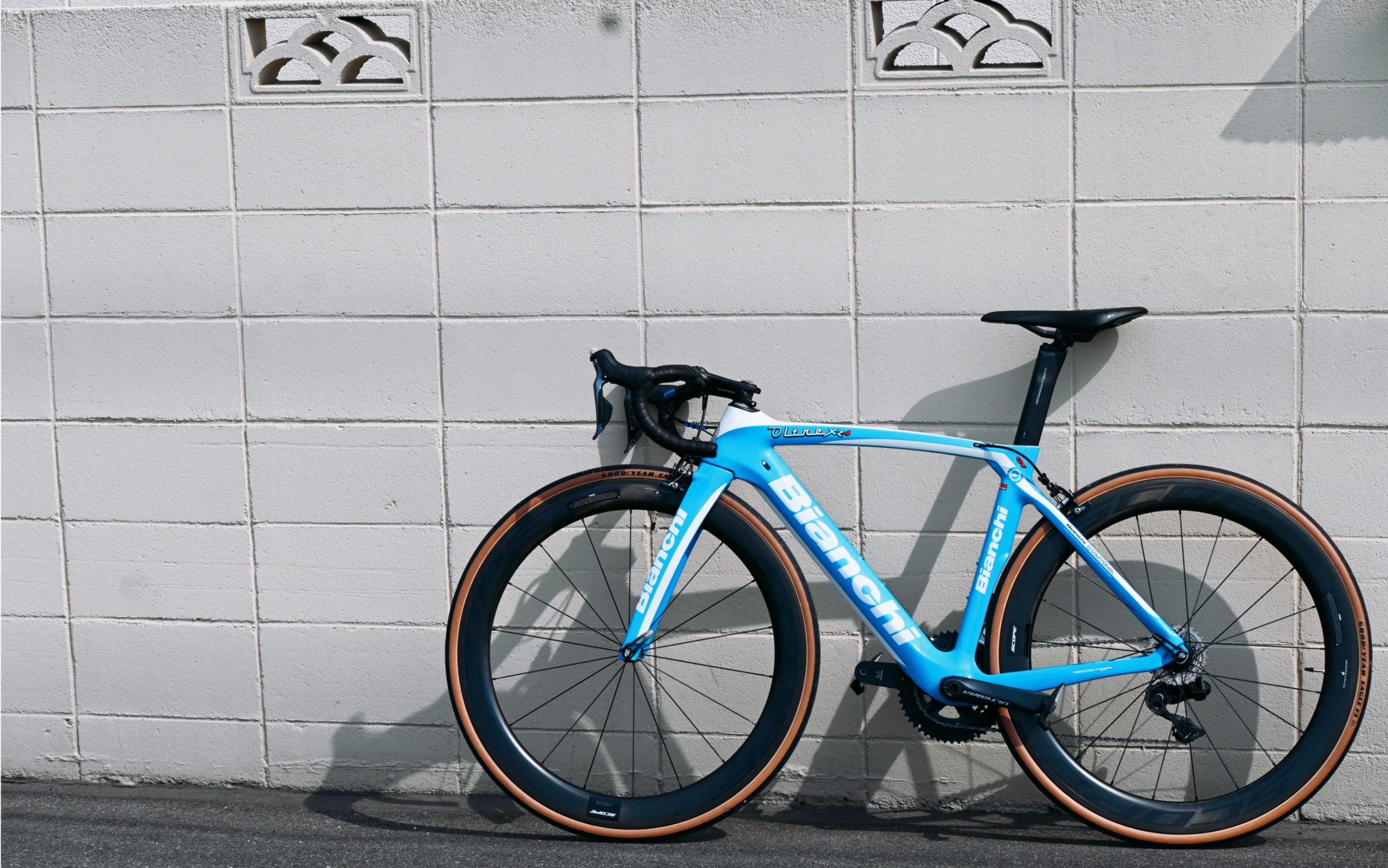 比安奇bianchi xr4定制色搭配ee夹器