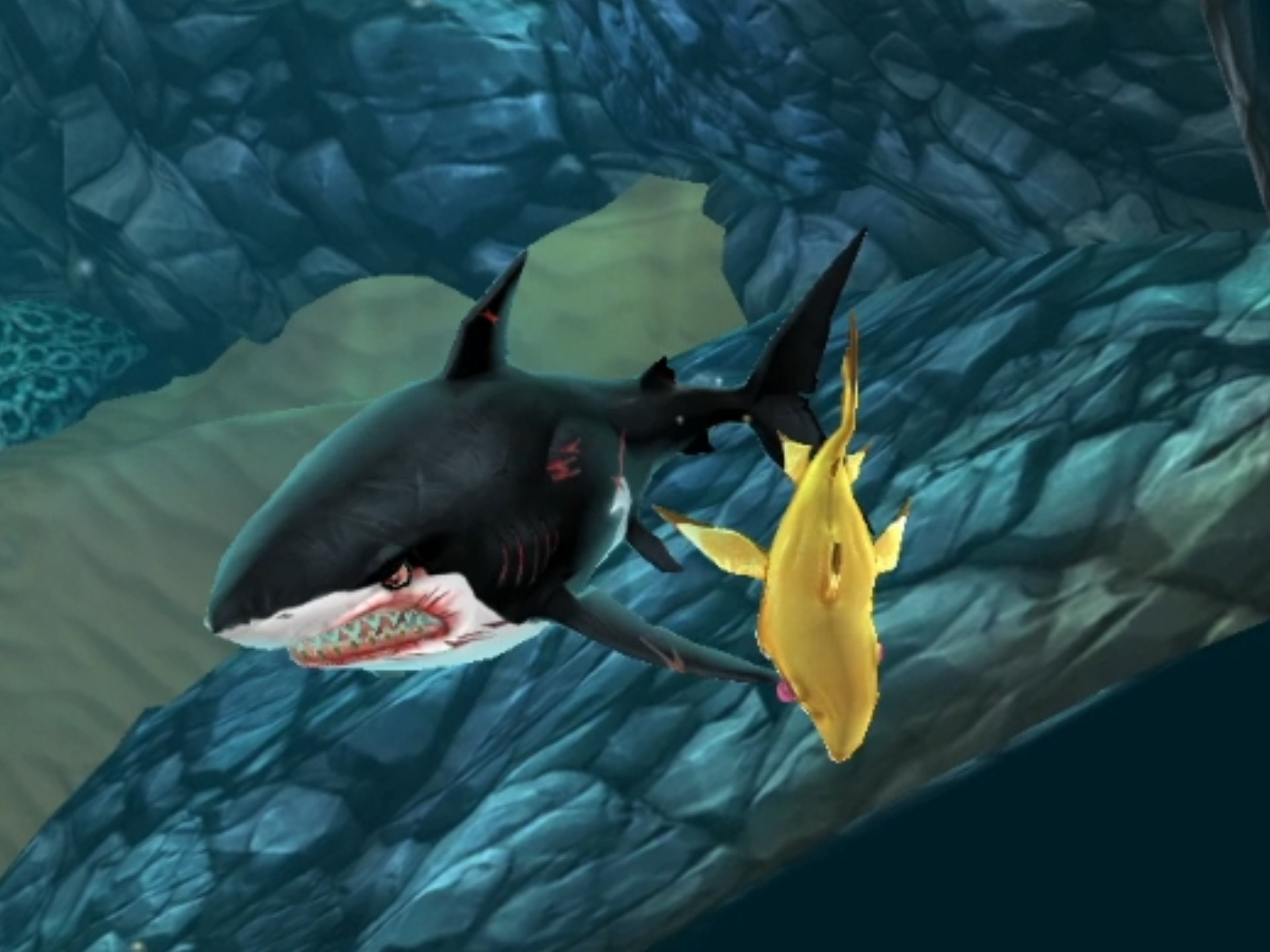 使用伯爵鲨击败黑色大白鲨