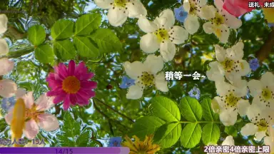 喜多川海夢-哔哩哔哩_Bilibili