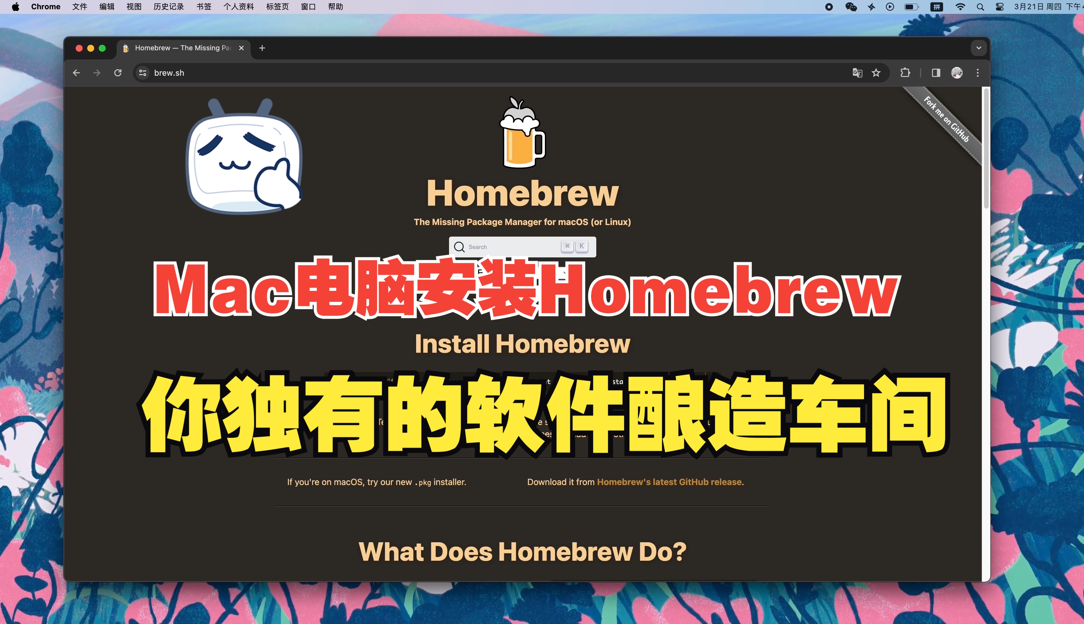 Mac电脑上很神奇的软件安装方式 Homebrew哔哩哔哩bilibili