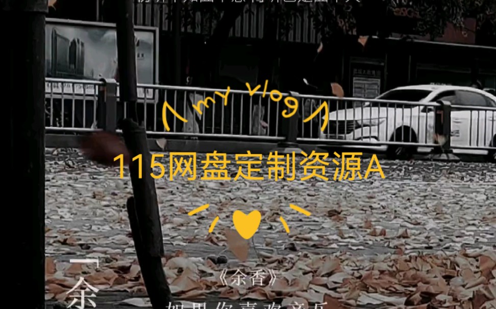 115网盘定制资源A哔哩哔哩bilibili