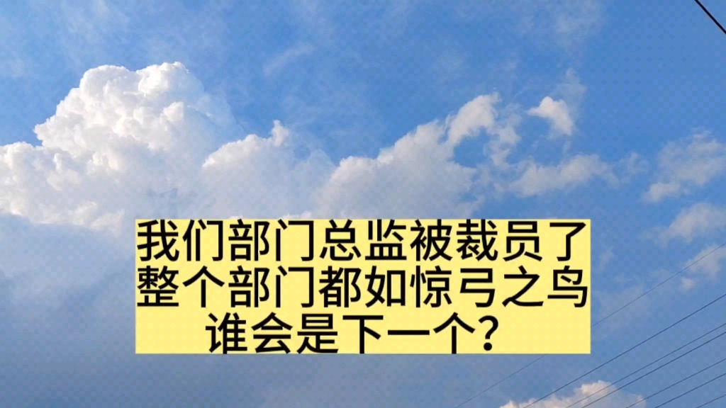 我们部门总监被裁员了,整个部门都如惊弓之鸟,谁会是下一个?哔哩哔哩bilibili