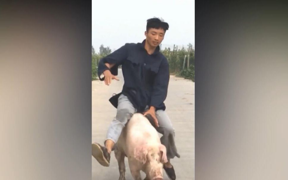 抖音上的过于沙雕广告骑猪大队