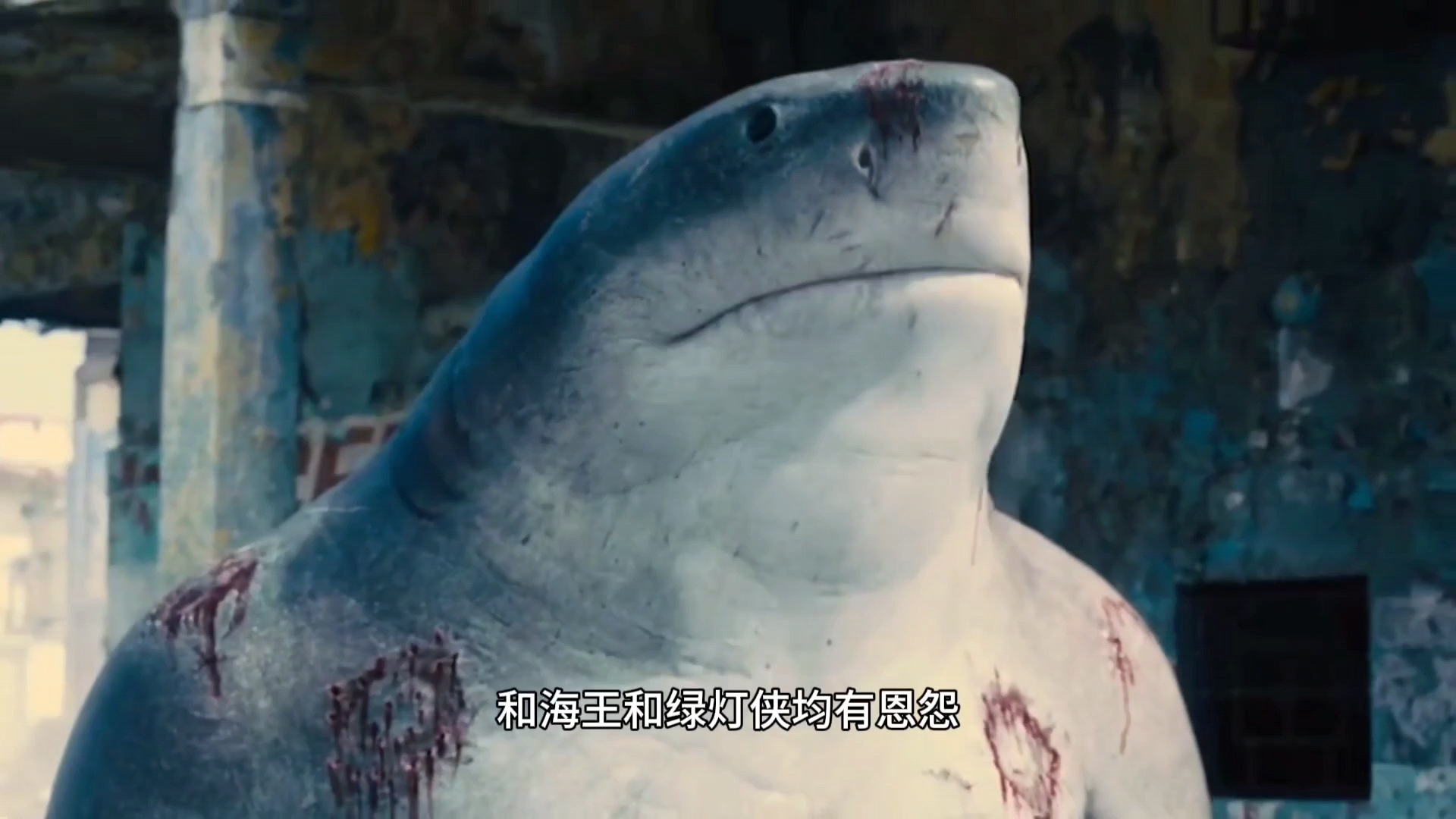 憨憨鲨鱼王纳纳威