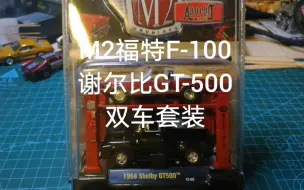 下载视频: M2福特F-100和谢尔比GT500双车套装