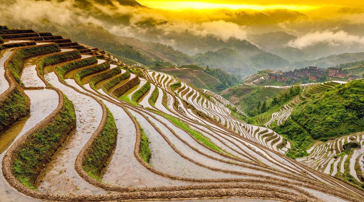 [图]这里的梯田堪称“大地雕塑”的典范，四绝美景看了想再看