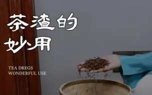 Download Video: 你知道茶渣的妙用吗