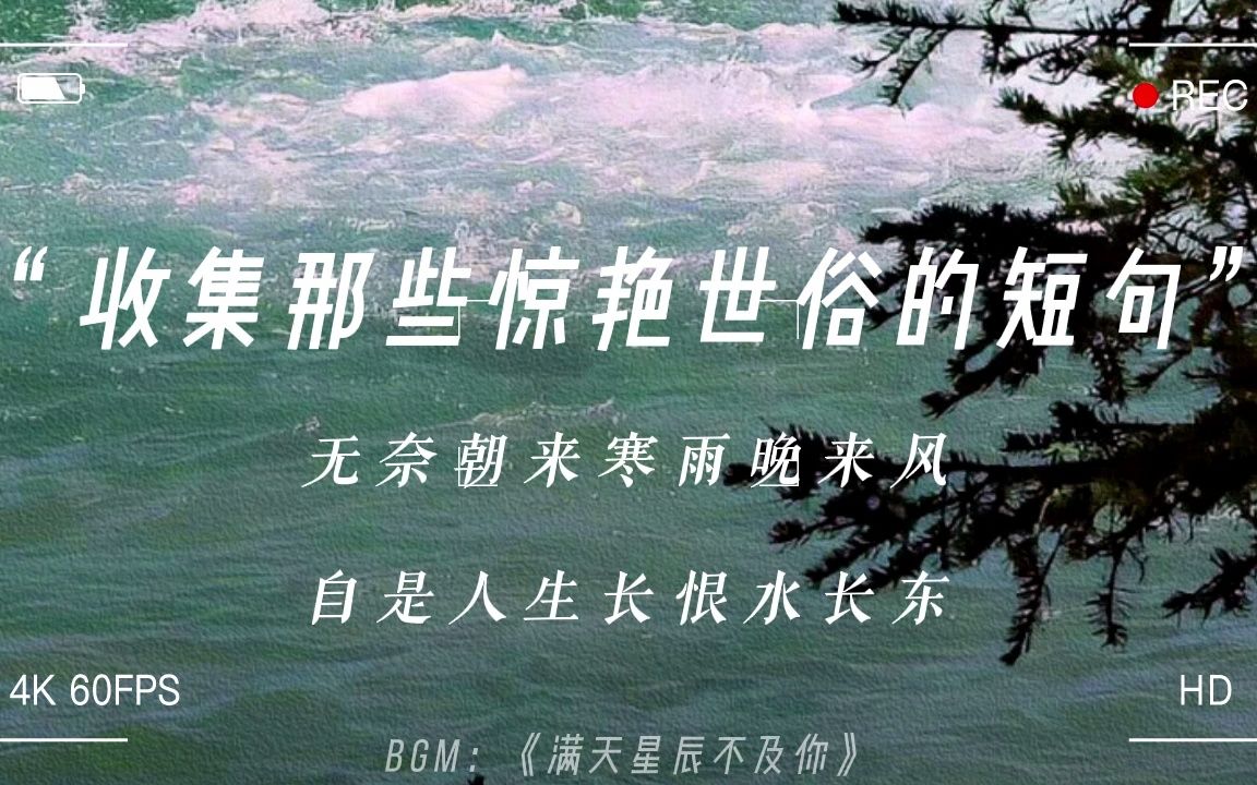 [图]“无奈朝来寒雨晚来风，自是人生长恨水长东”丨惊艳世俗