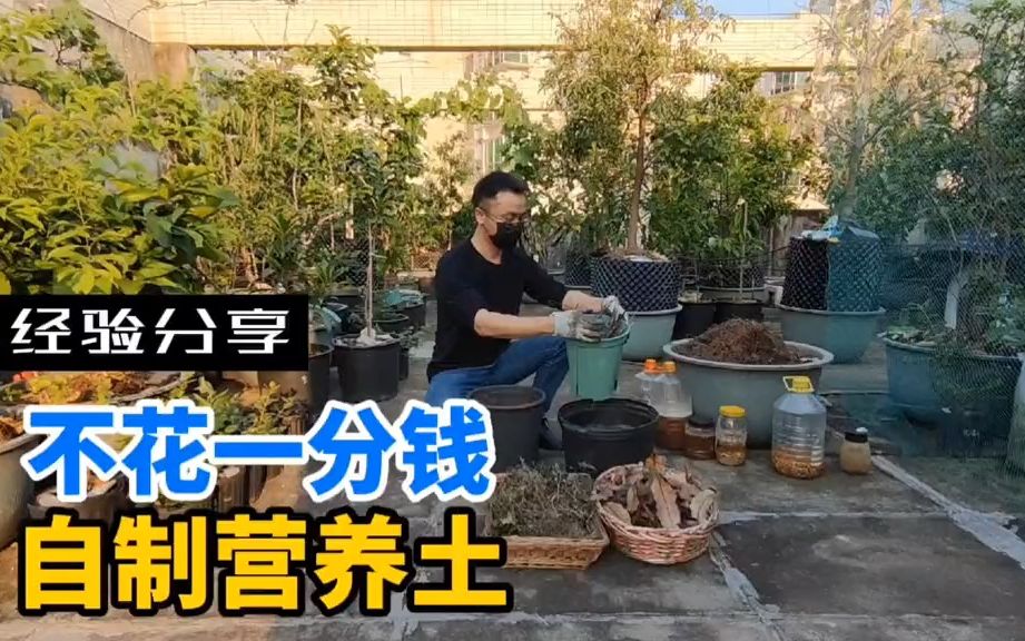 【种菜土壤】教你用最简单材料来制作营养土,不花一分钱,土越用越肥沃!哔哩哔哩bilibili