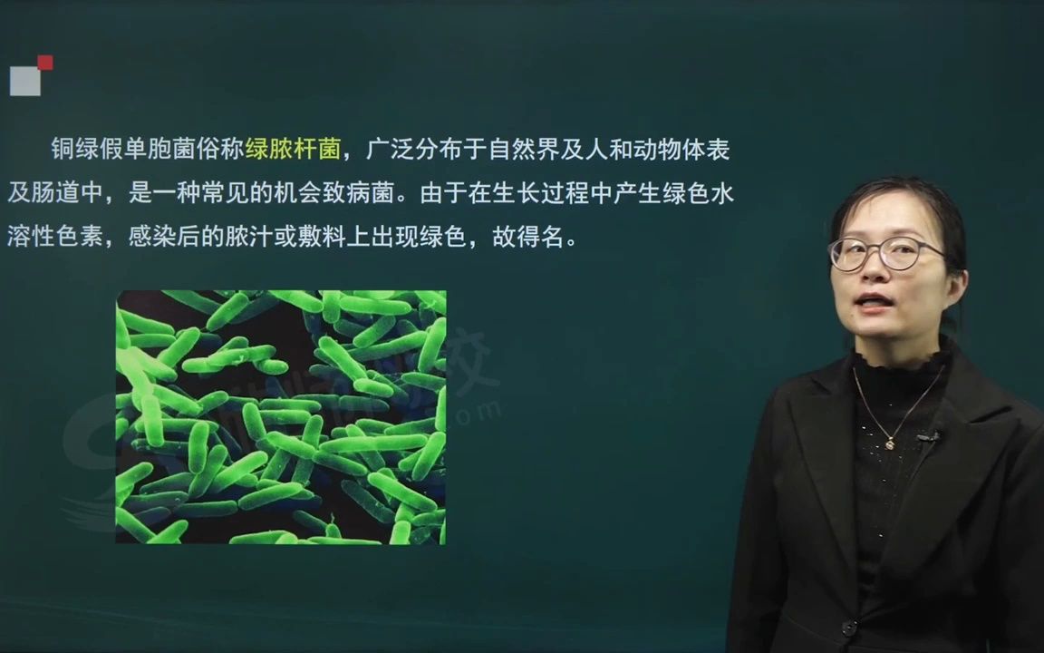 [图]2023年微生物检验技术（医学高级职称副高）考试视频 铜绿假单胞菌01