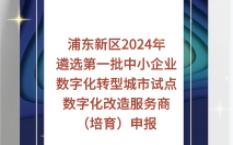 浦东新区2024年遴选第一批中小企业数字化转型城市试点数字化改造服务商(培育)申报哔哩哔哩bilibili