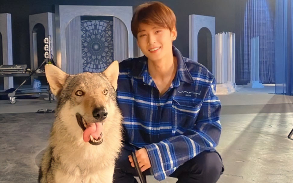 【车银优】好可爱!我说的是小狗(`Δ)