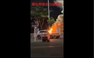 Download Video: 特斯拉原地起火爆炸 吓的对街野马拉警报