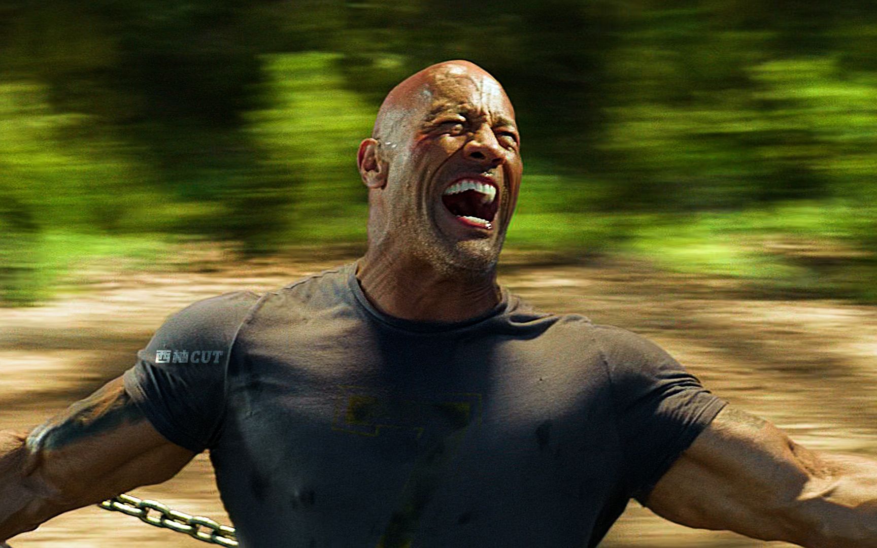 强森是偷偷注射血清了吗,居然徒手拽直升机!