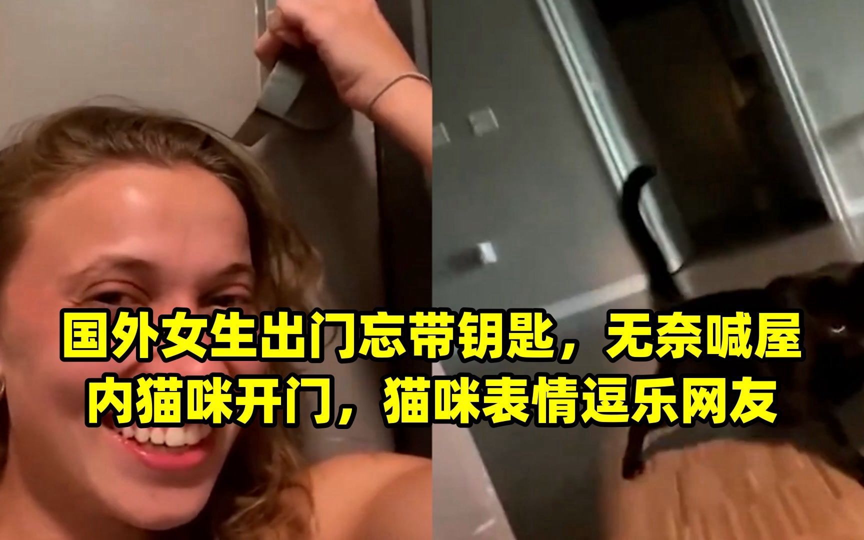 国外女生出门忘带钥匙,无奈喊屋内猫咪开门,猫咪表情逗乐网友