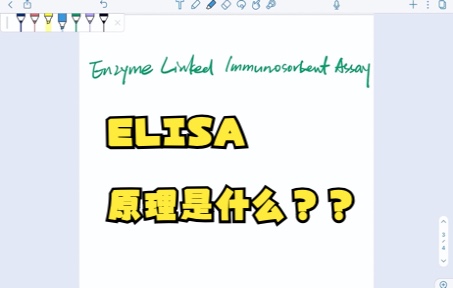 ELISA原理是什么??哔哩哔哩bilibili