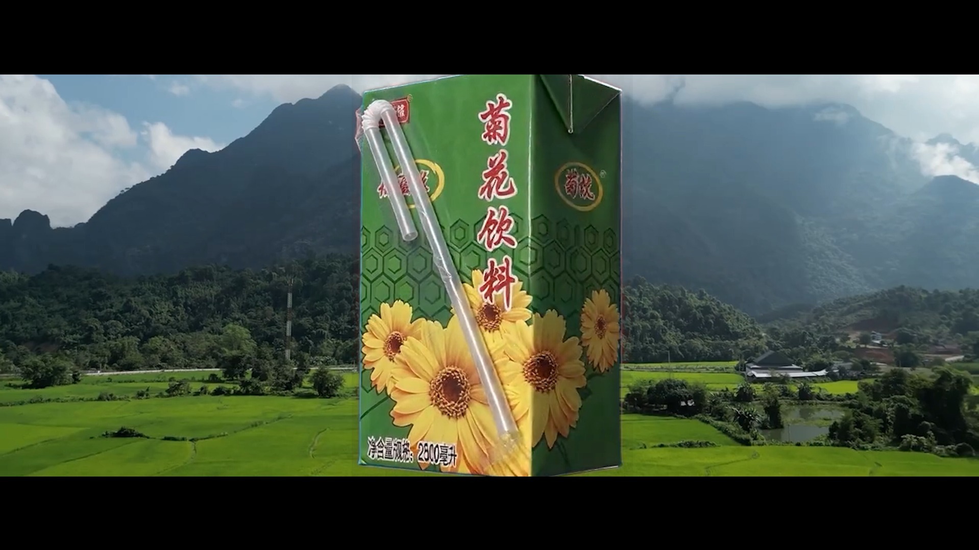盘古开天辟地也只是劈开了菊花茶的外包装
